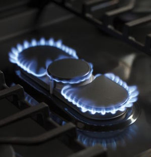5.6 cu. ft. Freestanding Dual Fuel Range